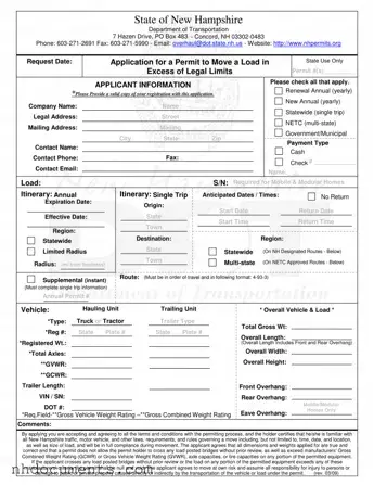 Blank New Hampshire Load PDF Form