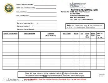 Blank New Hampshire Reporting PDF Form